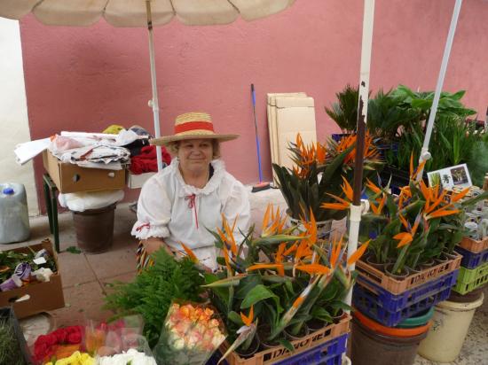 Vendeuse de Plantes a Puerto Cruz