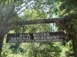 Parc national de Muir Woods (Red Woods)