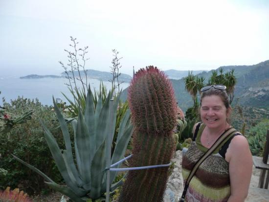 La belle et le Cactus